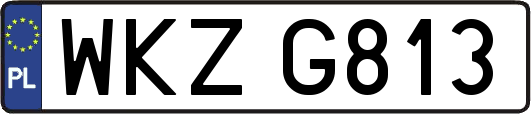 WKZG813