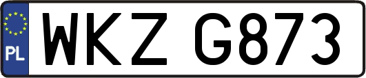 WKZG873