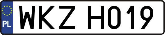 WKZH019