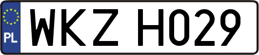 WKZH029