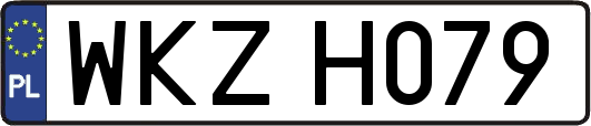 WKZH079