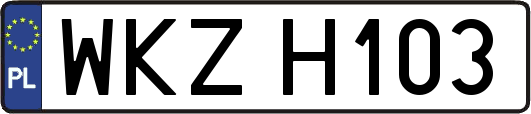 WKZH103