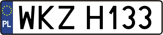 WKZH133