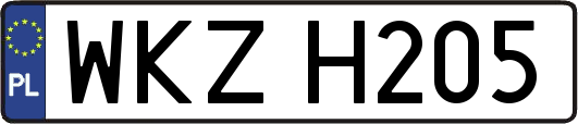 WKZH205