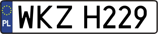 WKZH229