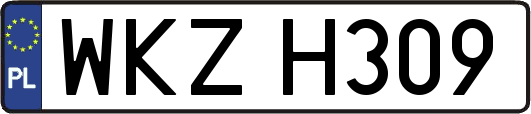 WKZH309