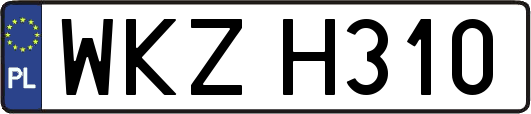 WKZH310