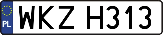 WKZH313