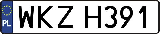 WKZH391