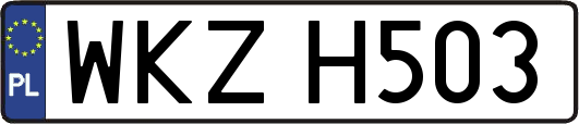 WKZH503