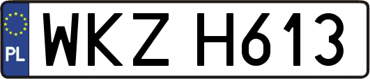 WKZH613