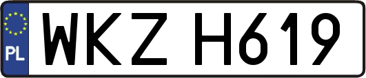 WKZH619