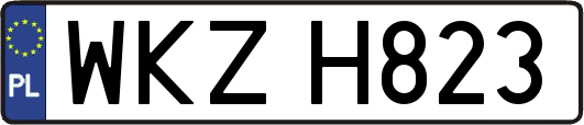 WKZH823