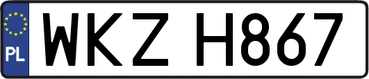 WKZH867