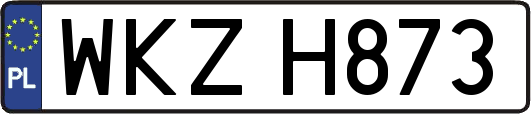 WKZH873