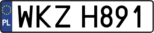 WKZH891