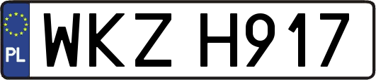 WKZH917