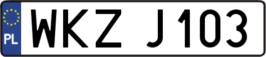 WKZJ103