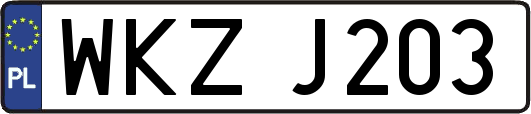 WKZJ203