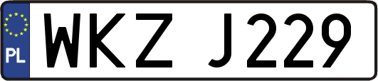 WKZJ229