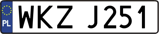 WKZJ251