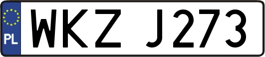 WKZJ273