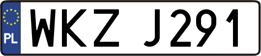 WKZJ291