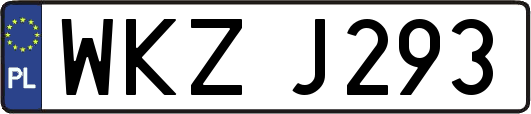 WKZJ293