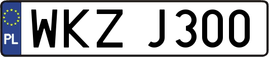 WKZJ300