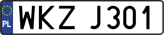 WKZJ301
