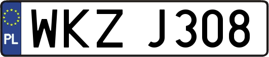 WKZJ308