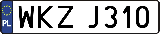 WKZJ310
