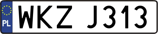 WKZJ313