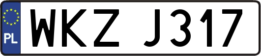 WKZJ317