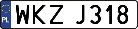 WKZJ318