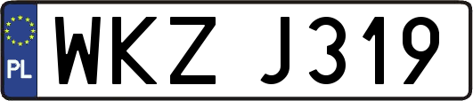 WKZJ319