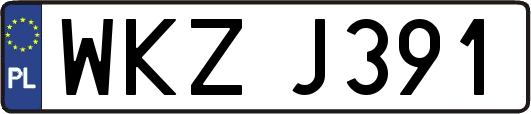WKZJ391