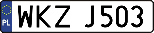 WKZJ503