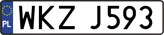 WKZJ593