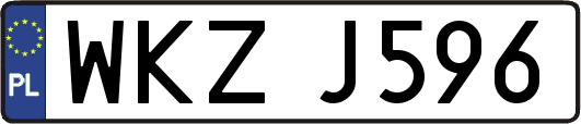 WKZJ596