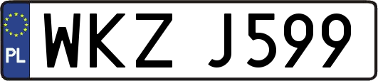 WKZJ599