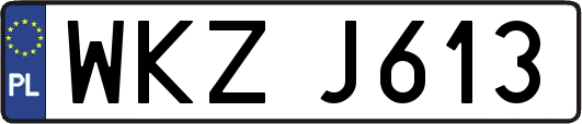 WKZJ613