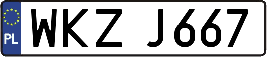 WKZJ667