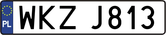 WKZJ813
