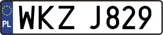 WKZJ829