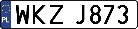 WKZJ873