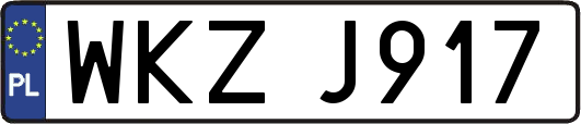 WKZJ917
