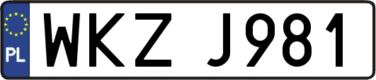 WKZJ981