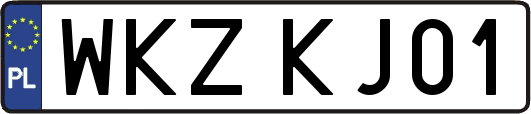 WKZKJ01