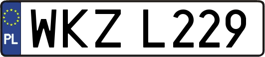 WKZL229